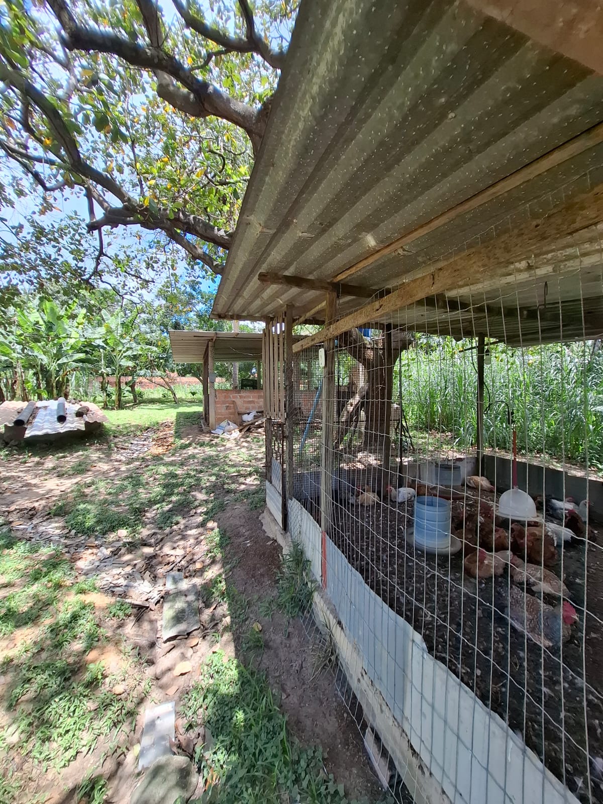 Imagem Chácara com 3 Quartos à Venda, 280 m² em Coqueiro - São Luís