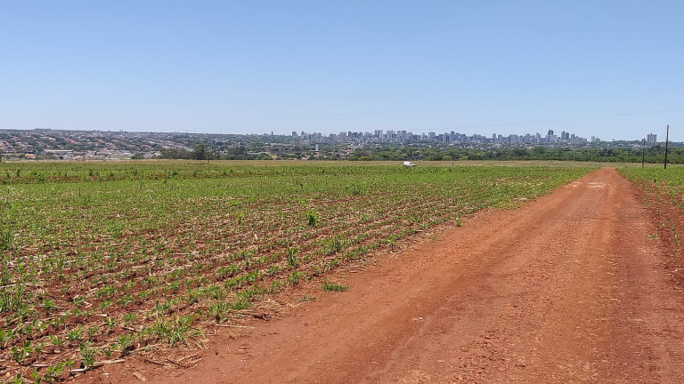 Imagem Fazenda à Venda,  em Gleba Ribeirão Maringá - Maringá