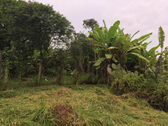 Imagem Terreno à Venda, 43.500 m² em Vila Andrade - Mogi das Cruzes