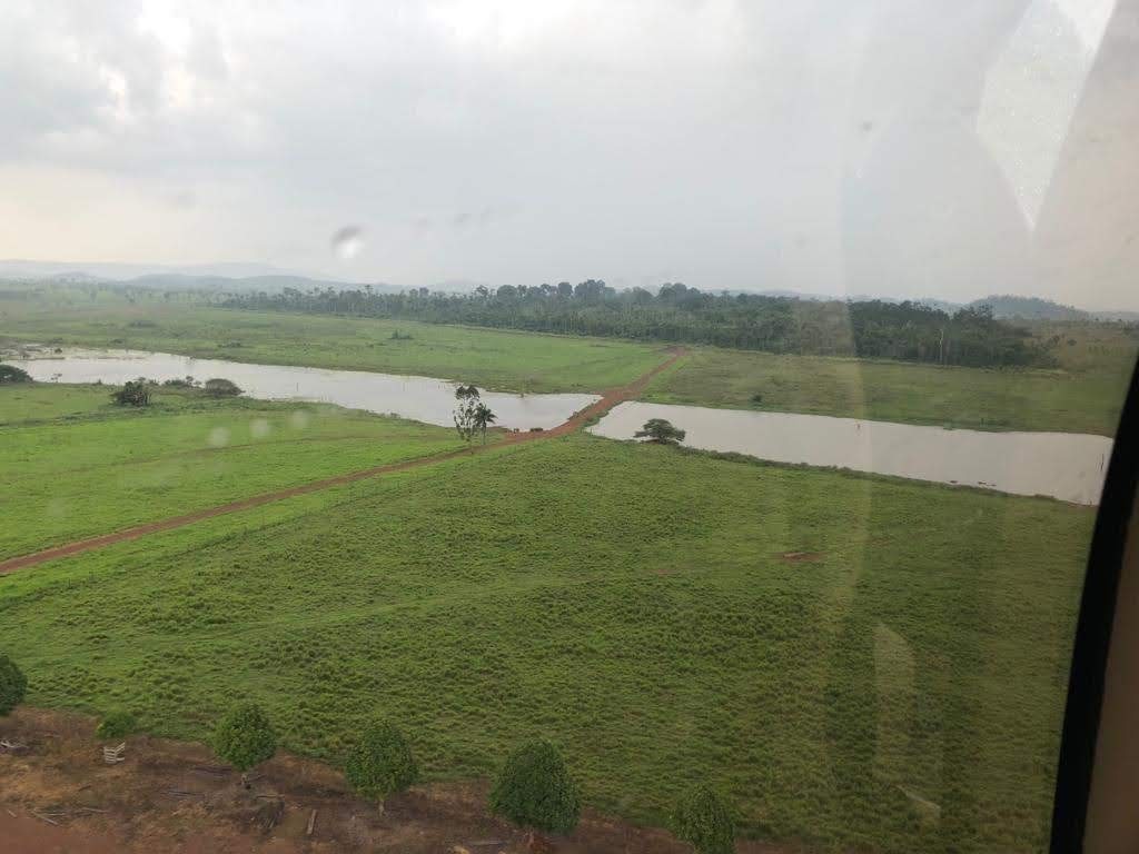 Imagem Fazenda à Venda, 9.399 m² em Centro - São Félix do Xingu Imagem Fazenda à Venda, 9.399 m² em Centro - São Félix do Xingu