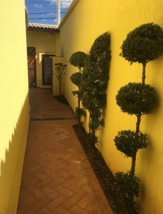 Imagem Sobrado com 4 Quartos à Venda, 325 m² em Vila Nova Savoia - São Paulo