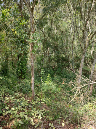 Imagem Chácara com 3 Quartos à Venda, 250 m² em Santa Teresa - Santa Isabel
