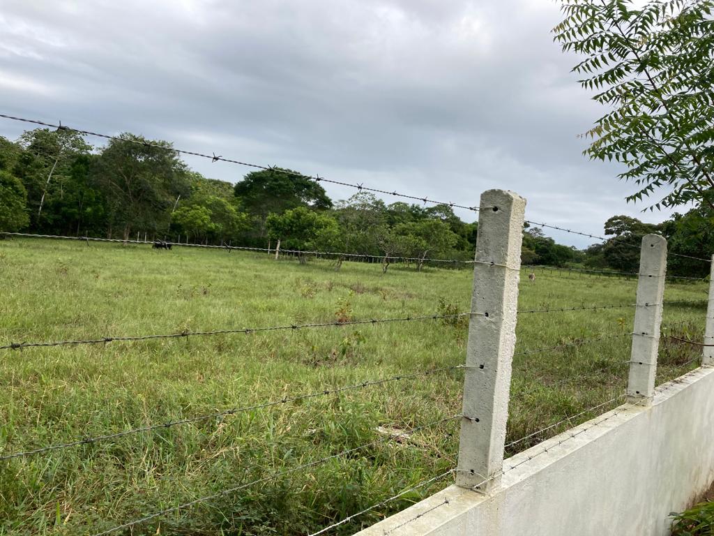 Imagem Imóvel com 5 Quartos à Venda, 400 m²em Murutuba - Cachoeira
