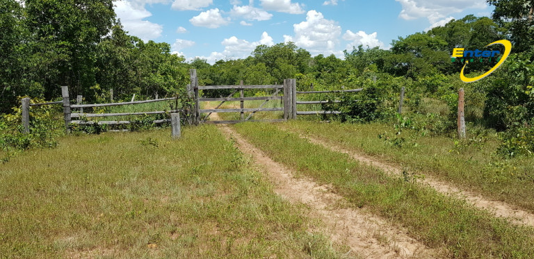 Imagem Fazenda à Venda, 681.000 m² em rural - São João D'Aliança Imagem Fazenda à Venda, 681.000 m² em rural - São João D'Aliança