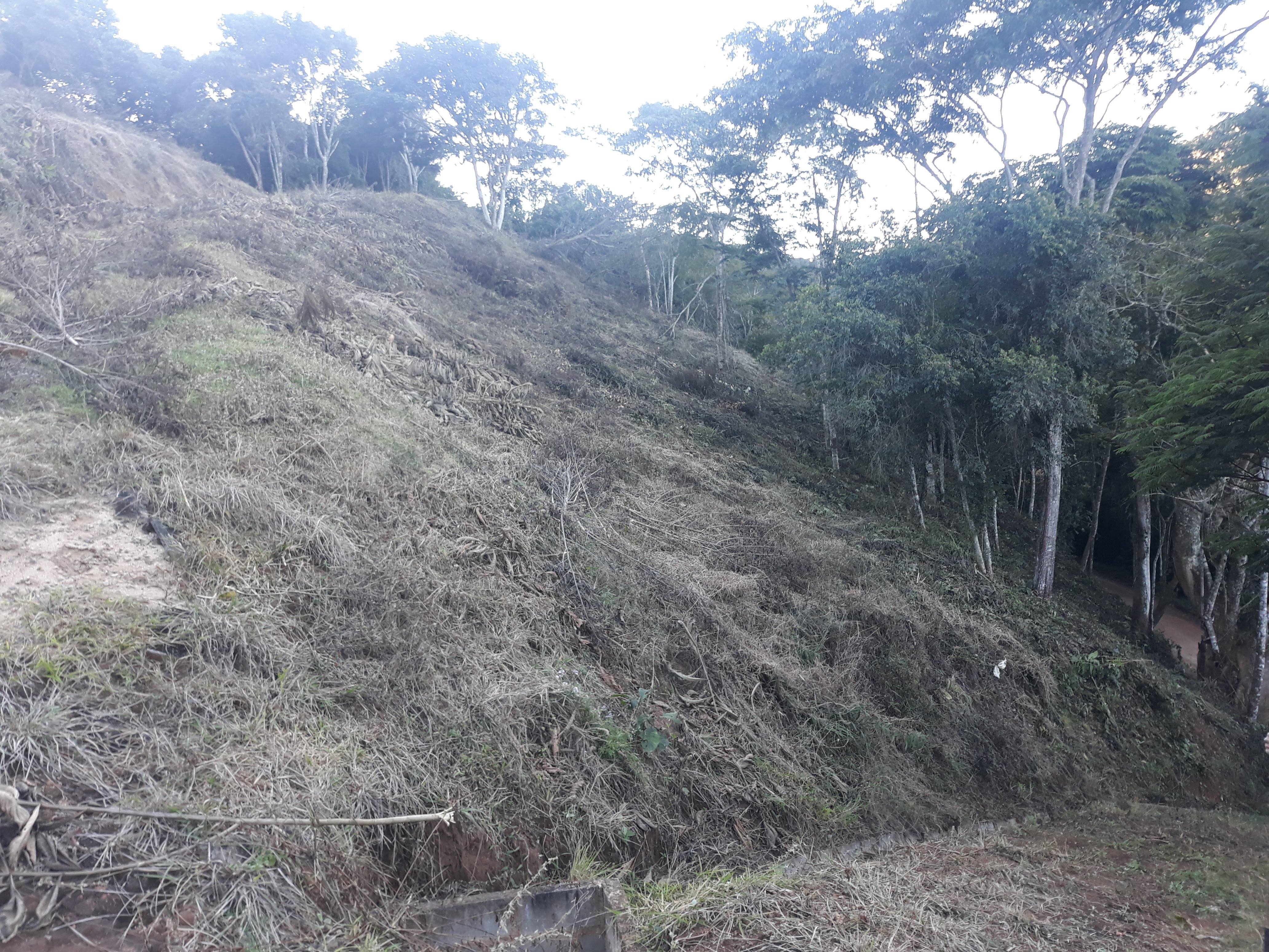 Imagem Terreno à Venda, em Humaitá - Juiz de Fora Imagem Terreno à Venda, em Humaitá - Juiz de Fora