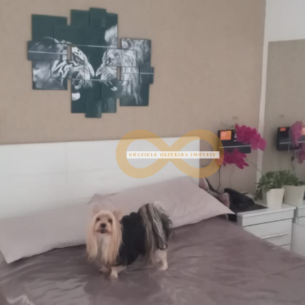 Imagem Apartamento com 2 Quartos à Venda,  em Várzea - Teresópolis
