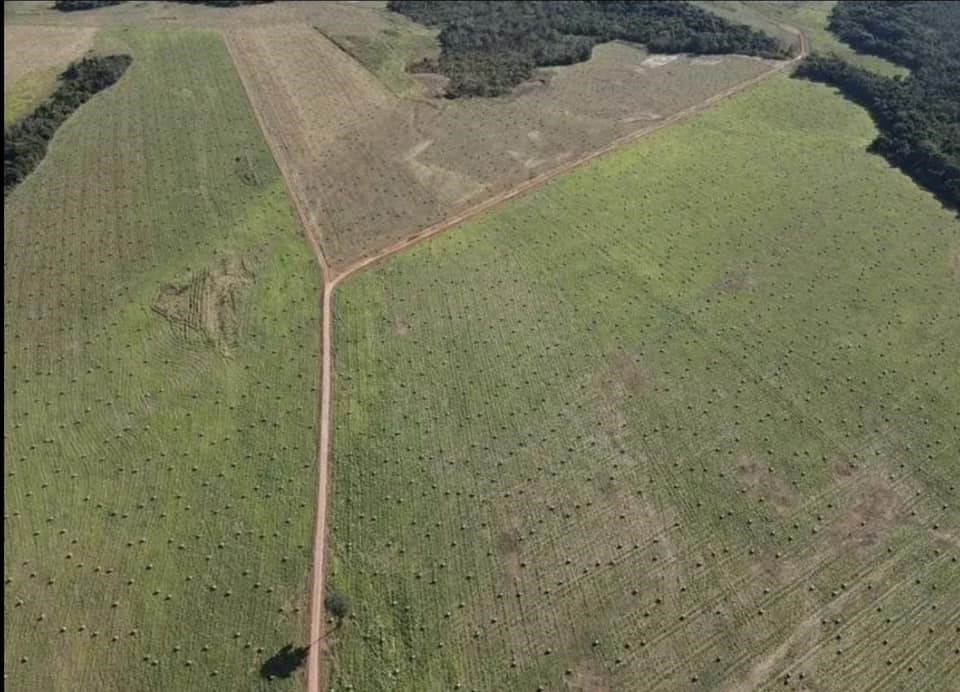 Imagem Fazenda à Venda, 2 HAem ZONA RURAL - General Carneiro Imagem Fazenda à Venda, 2 HAem ZONA RURAL - General Carneiro
