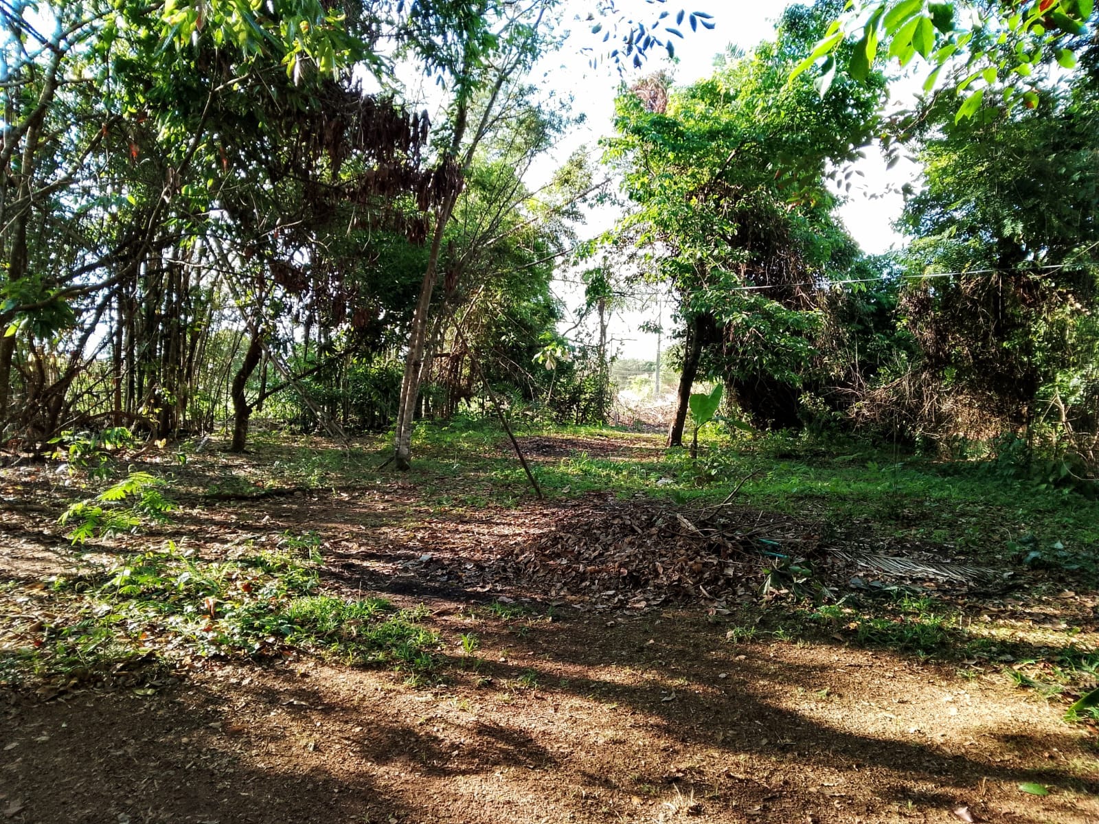 Imagem Terreno à Venda, 2 m²em Jardim Buriti Sereno - Aparecida de Goiânia