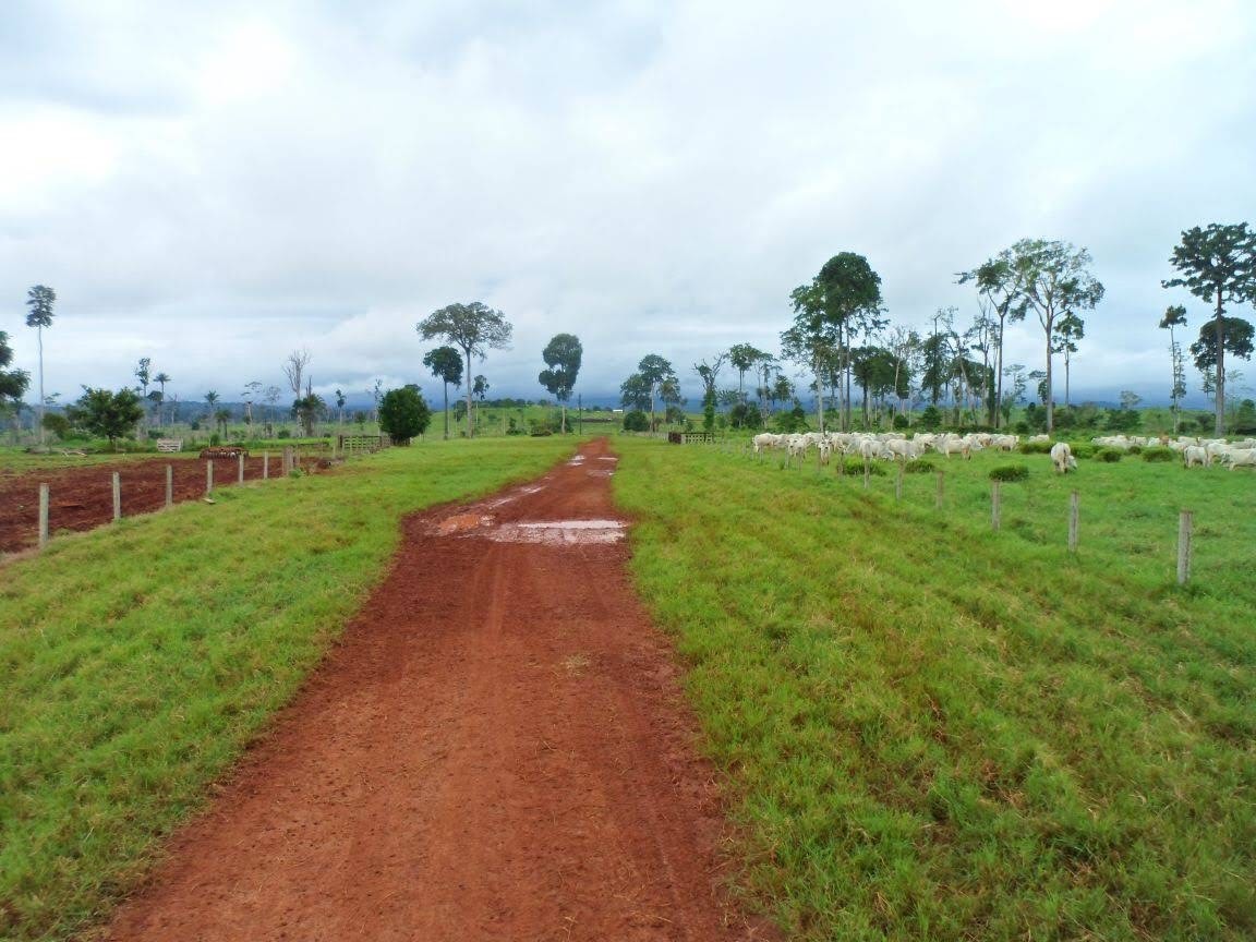Imagem Fazenda à Venda, 9.399 m² em Centro - São Félix do Xingu Imagem Fazenda à Venda, 9.399 m² em Centro - São Félix do Xingu