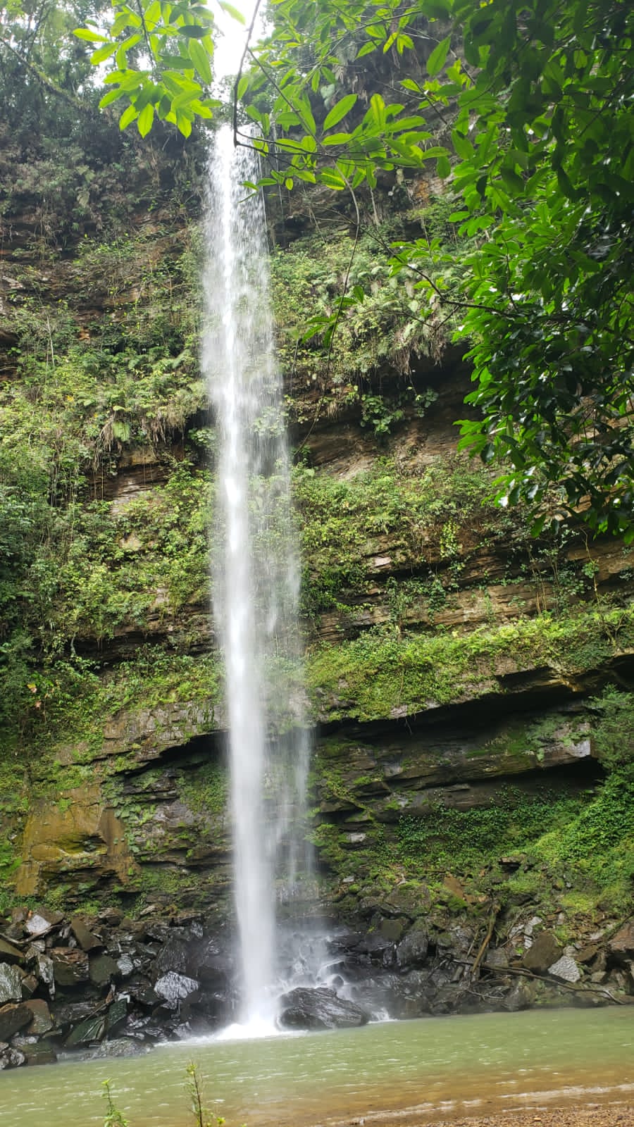 Imagem Chácara com 2 Quartos à Venda, 20.000 m² em Capivaras Alta - Grão Pará Imagem Chácara com 2 Quartos à Venda, 20.000 m² em Capivaras Alta - Grão Pará