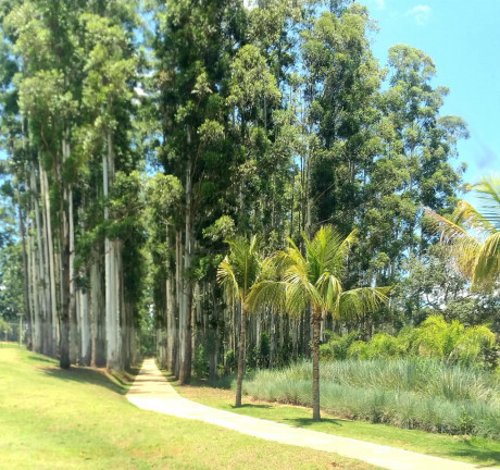 Imagem Terreno à Venda, 450 m² em Riviera de Santa Cristina III - Itaí