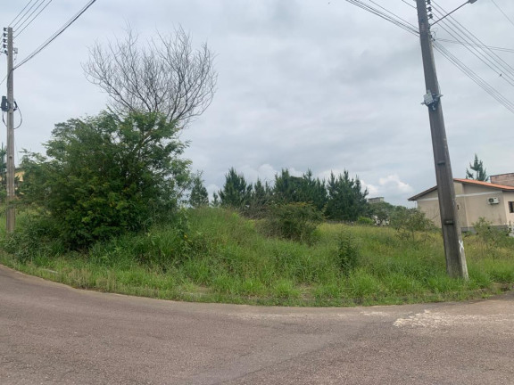Imagem Terreno à Venda, em Linha Anta - Criciúma Imagem Terreno à Venda, em Linha Anta - Criciúma