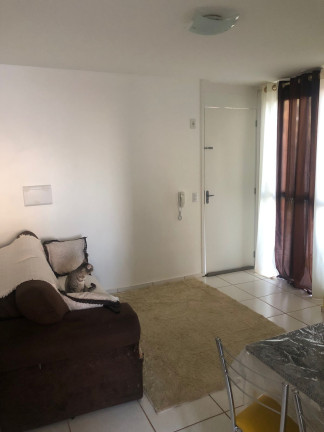 Imagem Apartamento com 2 Quartos à Venda, 48 m² em Cidade Jardins - Valparaíso de Goiás Imagem Apartamento com 2 Quartos à Venda, 48 m² em Cidade Jardins - Valparaíso de Goiás