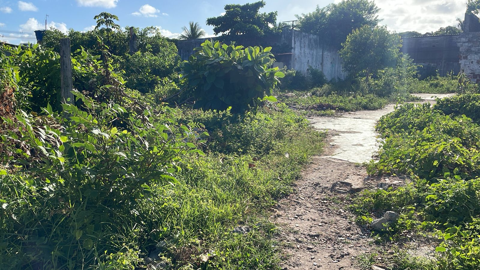 Imagem Terreno à Venda, 1.400 m² em Barra de Jangada - Jaboatão dos Guararapes Imagem Terreno à Venda, 1.400 m² em Barra de Jangada - Jaboatão dos Guararapes