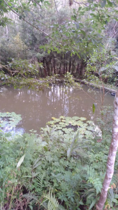 Imagem Chácara com 4 Quartos à Venda ou Locação, 362 m²em Parque Boa Vista - Embú Guaçu