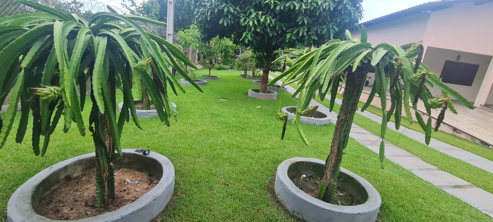 Imagem Casa com 4 Quartos à Venda, 226 m²em Mirititiua - São José de Ribamar