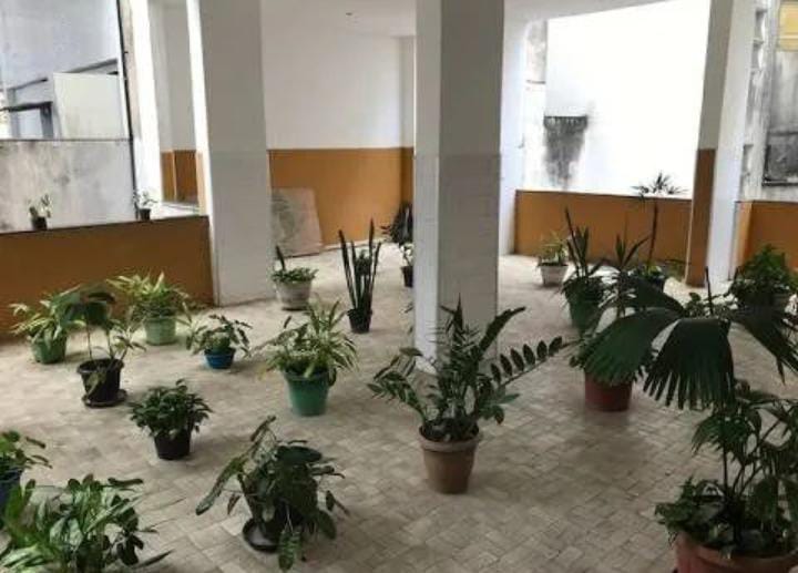 Imagem Apartamento com 3 Quartos à Venda, 80 m² em Brotas - Salvador