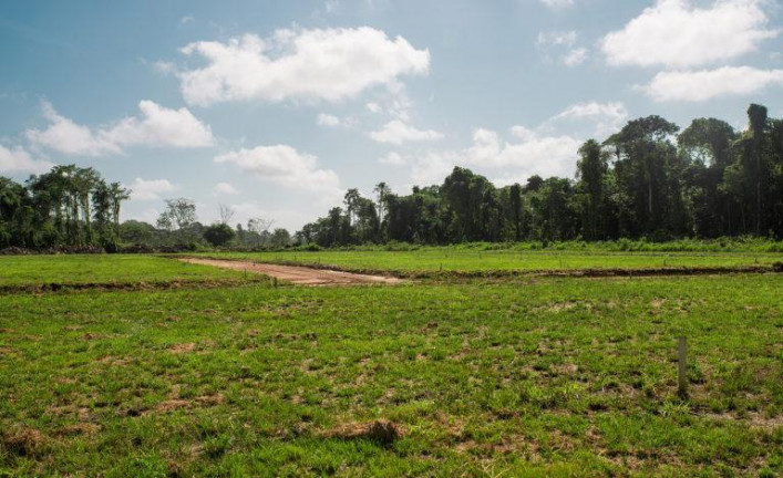 Imagem Terreno à Venda, 225 m² em Campina de Icoaraci (Icoaraci) - Belém Imagem Terreno à Venda, 225 m² em Campina de Icoaraci (Icoaraci) - Belém