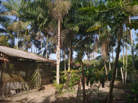 Imagem Chácara à Venda, 1 m² em Centro - Santa Isabel do Pará