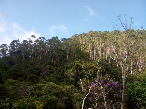 Imagem Terreno à Venda, 137.000 m² em São Domingos - Bias Fortes Imagem Terreno à Venda, 137.000 m² em São Domingos - Bias Fortes