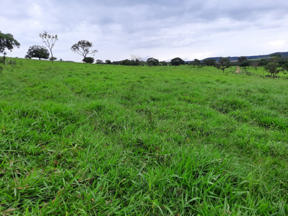 Imagem Fazenda à Venda, em Área Rural de Luziânia - Luziânia Imagem Fazenda à Venda, em Área Rural de Luziânia - Luziânia