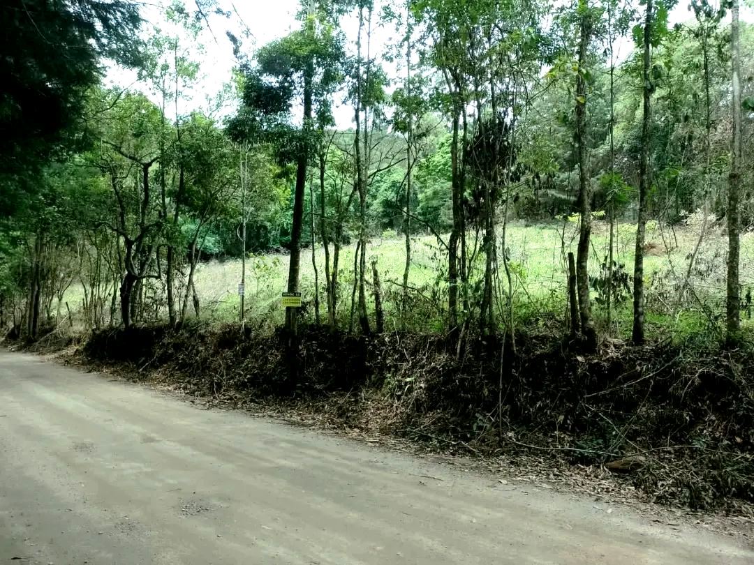 Imagem Chácara à Venda, 3.390 m² em Colinas - Poços de Caldas