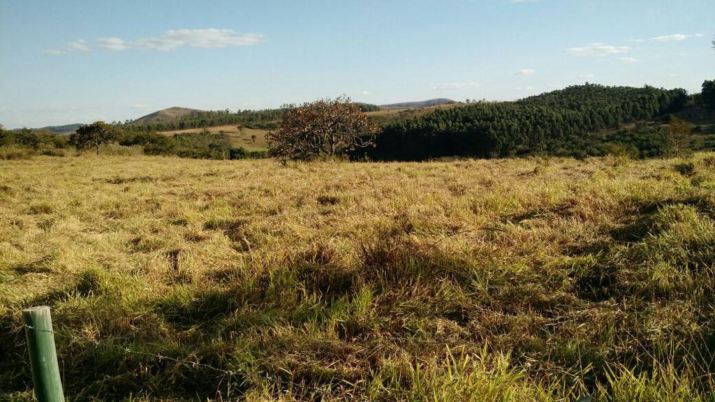 Imagem Fazenda à Venda, 51 HAem zona rural - Desterro de Entre Rios