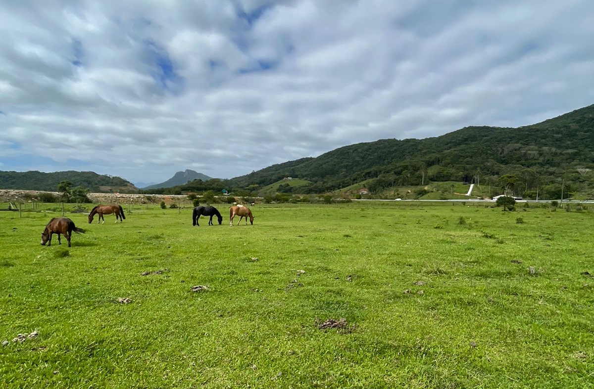 Imagem Terreno à Venda, 40 m²em Forquilhas - São José