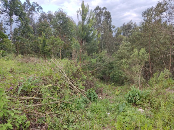 Imagem Terreno à Venda, 1.480 m² em LEÃO - Agudos do Sul Imagem Terreno à Venda, 1.480 m² em LEÃO - Agudos do Sul