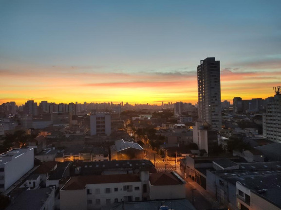 Imagem Apartamento com 2 Quartos para Alugar,  em Cambuci - São Paulo