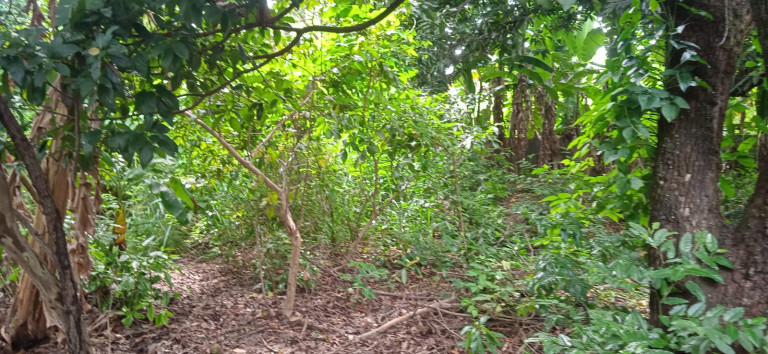 Imagem Terreno à Venda, 637 m²em Setor Sudoeste - Goiânia Imagem Terreno à Venda, 637 m²em Setor Sudoeste - Goiânia
