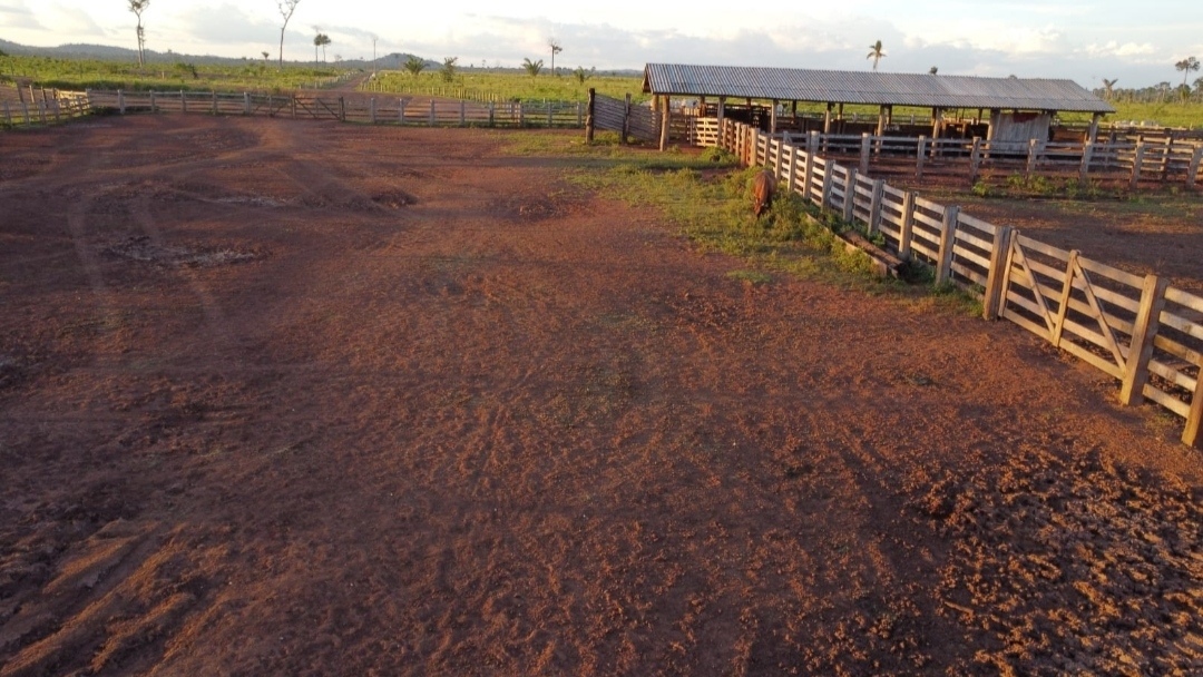 Imagem Fazenda à Venda, 430 m² em Centro - São Félix do Xingu Imagem Fazenda à Venda, 430 m² em Centro - São Félix do Xingu