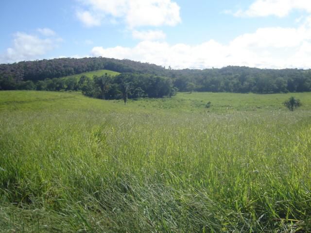Imagem Terreno à Venda, 194 m²em Parque Santa Rosa - Suzano Imagem Terreno à Venda, 194 m²em Parque Santa Rosa - Suzano