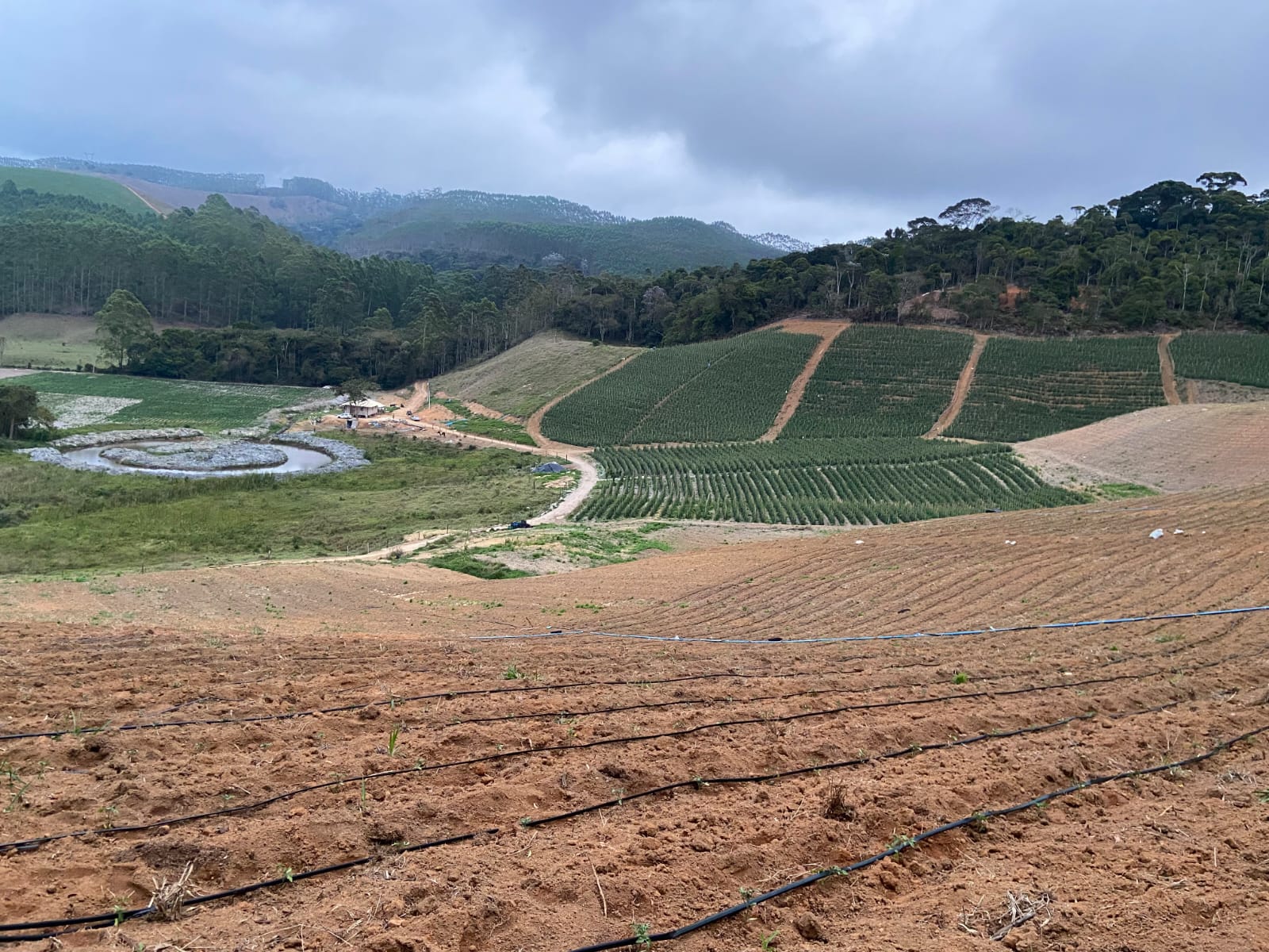 Imagem Terreno à Venda, 550 m²em Zona Rural  - Domingos Martins
