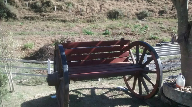 Imagem Chácara com 3 Quartos à Venda, 12.500 m² em MONTE ALEGRE - Natividade da Serra