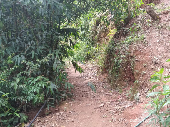 Imagem Terreno à Venda, 1.052 m² em Colinas do Imbiri - Campos do Jordão Imagem Terreno à Venda, 1.052 m² em Colinas do Imbiri - Campos do Jordão