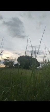 Imagem Terreno à Venda, 20.000 m² em Chácaras Brasil B - Valparaíso de Goiás Imagem Terreno à Venda, 20.000 m² em Chácaras Brasil B - Valparaíso de Goiás