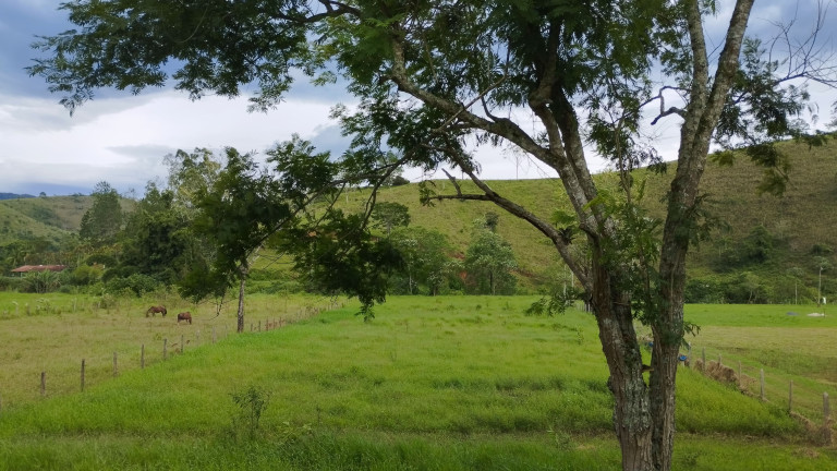 Imagem Chácara à Venda,  em Bairro dos Souzas - Monteiro Lobato