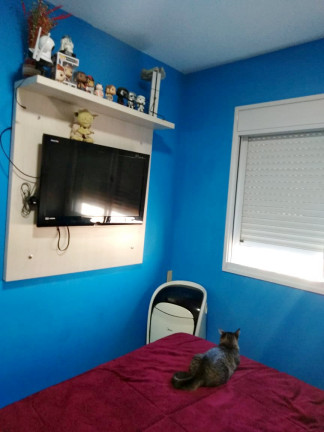 Imagem Apartamento com 1 Quarto à Venda, 33 m² em Jardim Santa Terezinha (Zona Leste) - São Paulo Imagem Apartamento com 1 Quarto à Venda, 33 m² em Jardim Santa Terezinha (Zona Leste) - São Paulo