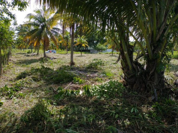 Imagem Terreno em Condomínio à Venda, 1.470 m² em Paiva - Cabo de Santo Agostinho Imagem Terreno em Condomínio à Venda, 1.470 m² em Paiva - Cabo de Santo Agostinho