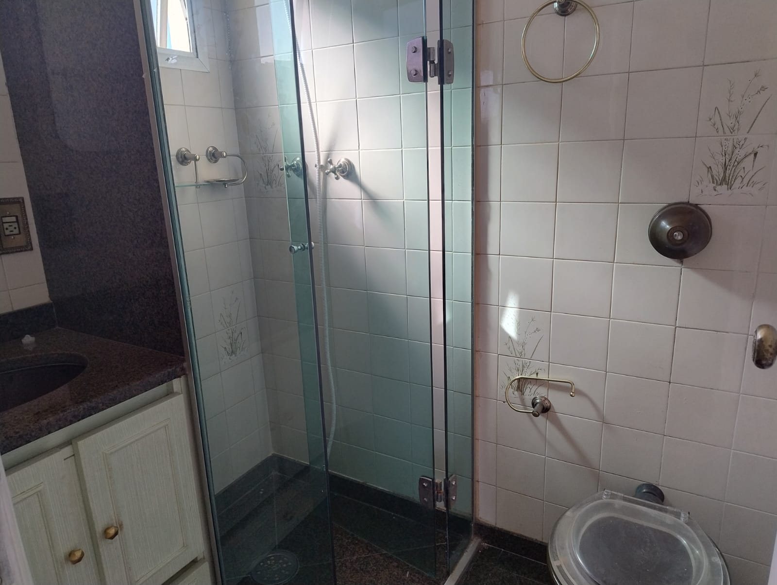 Imagem Apartamento com 3 Quartos à Venda, 110 m² em Vila Prudente - São Paulo