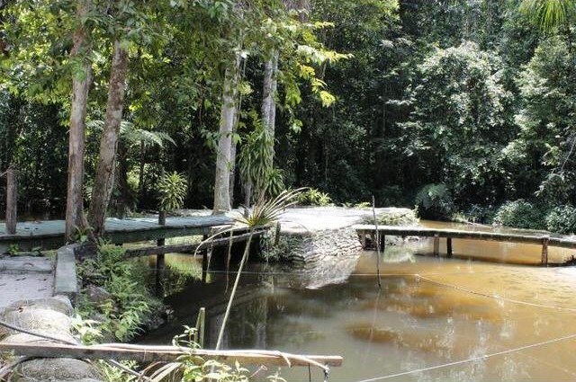 Imagem Chácara com 6 Quartos à Venda, 1 m² em área Rural - Manaus
