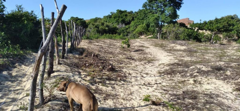 Imagem Terreno à Venda, 5.658 m²em Pajuçara - Natal Imagem Terreno à Venda, 5.658 m²em Pajuçara - Natal