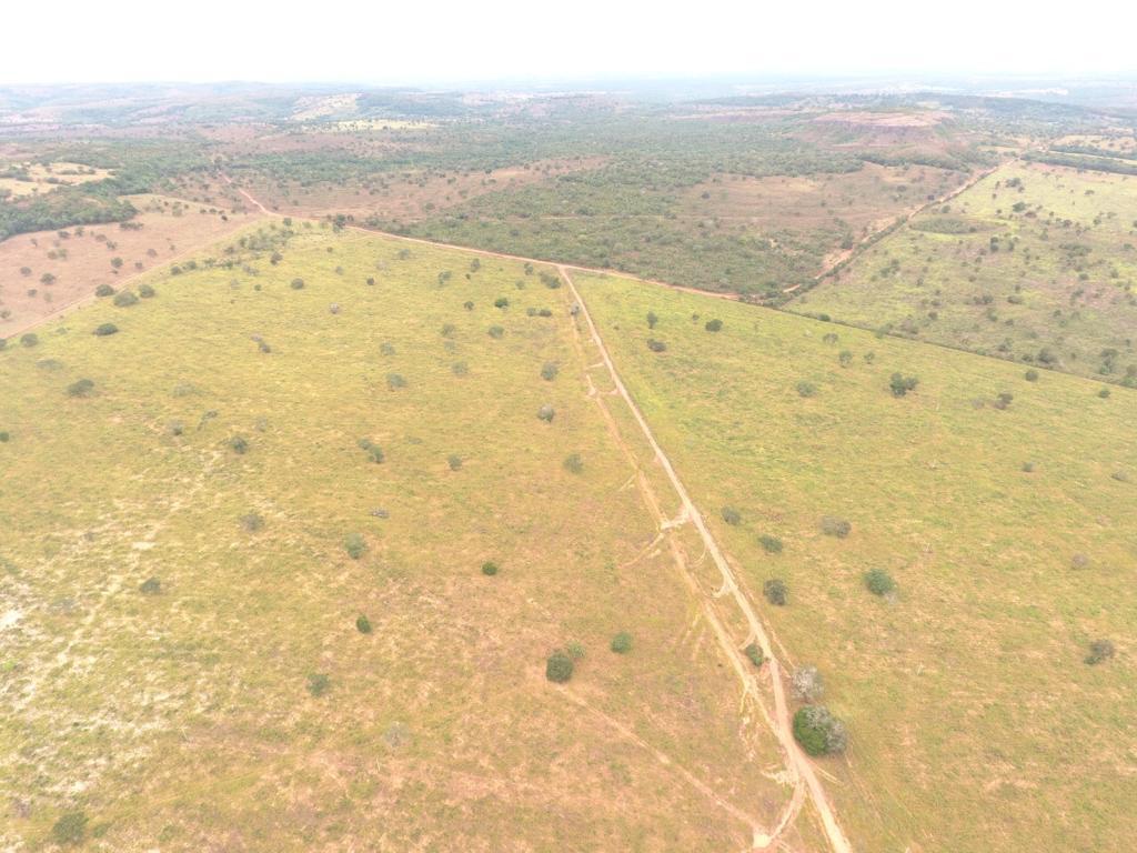 Imagem Fazenda à Venda, 80 Alq GOem Centro - Barra do Garças Imagem Fazenda à Venda, 80 Alq GOem Centro - Barra do Garças