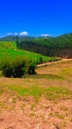 Imagem Terreno à Venda, 600 m² em Centro - Atibaia Imagem Terreno à Venda, 600 m² em Centro - Atibaia