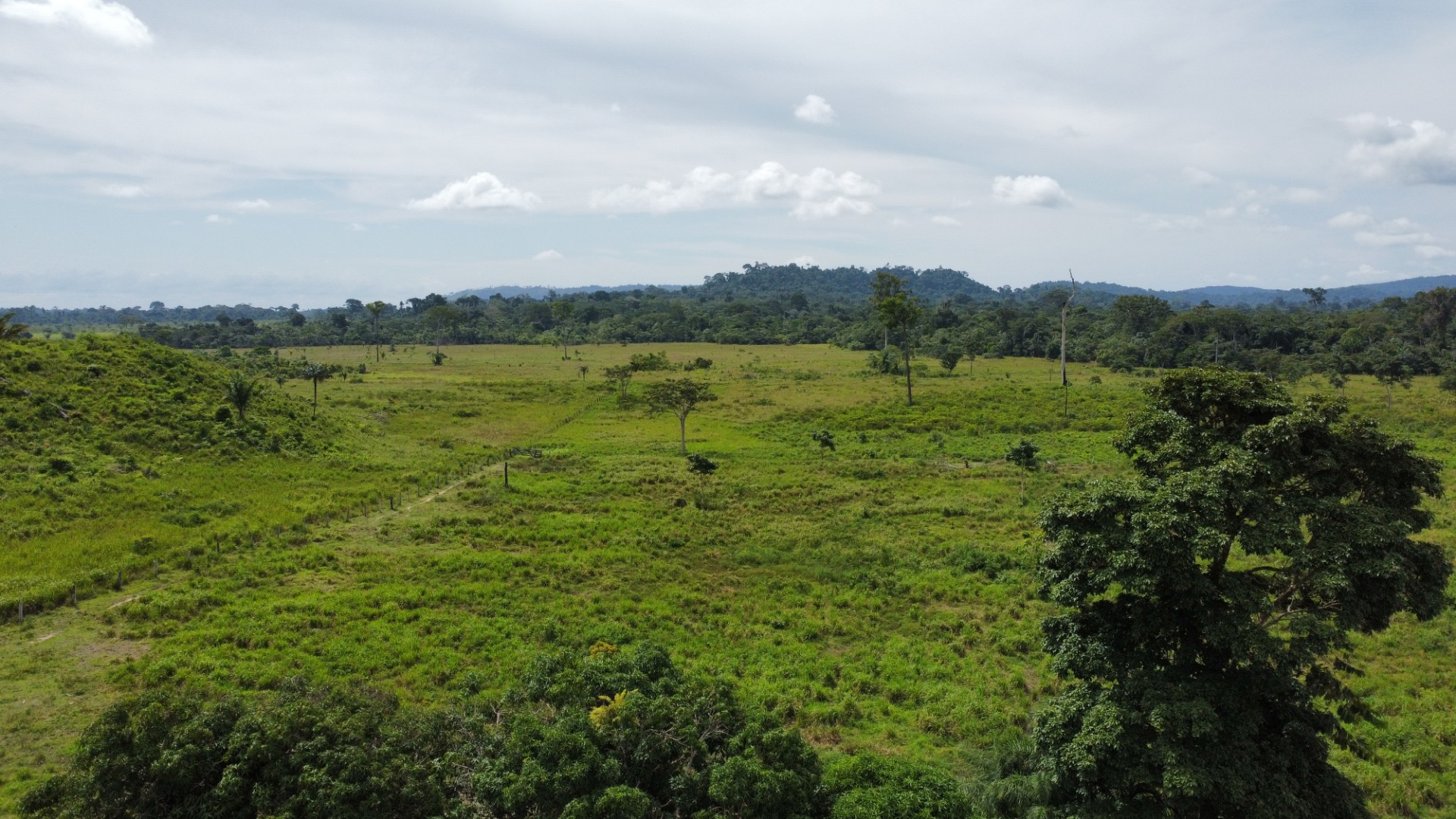 Imagem Fazenda à Venda, 900 Alq MGem Centro - São Félix do Xingu Imagem Fazenda à Venda, 900 Alq MGem Centro - São Félix do Xingu