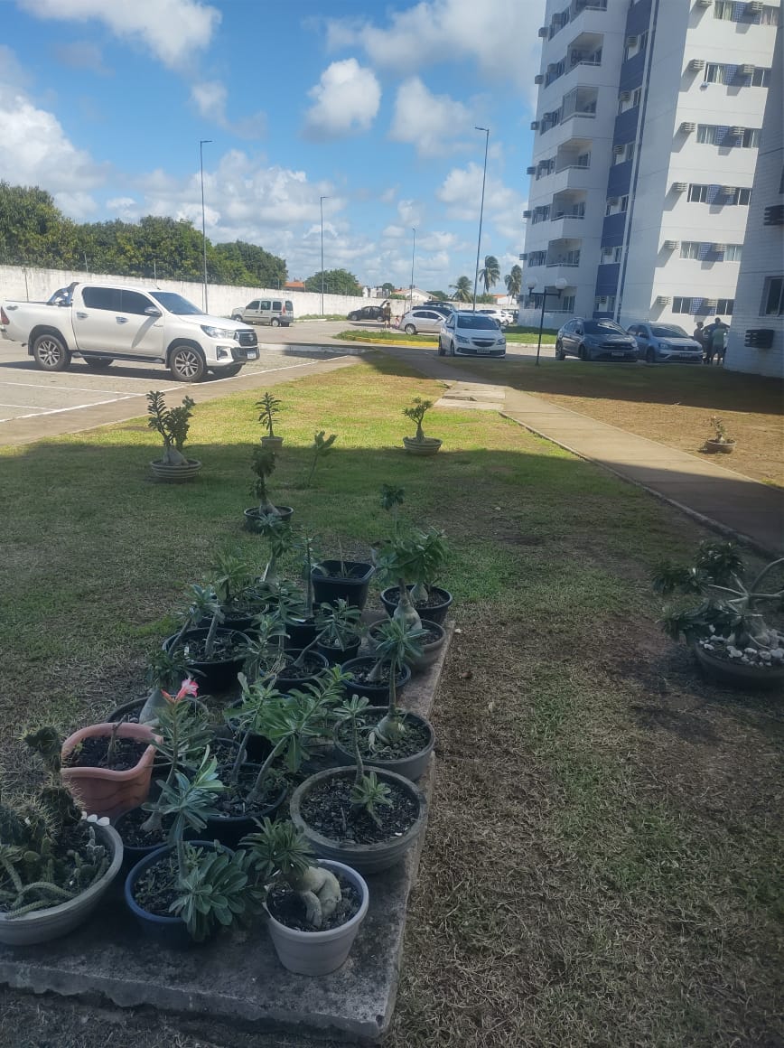 Imagem Apartamento com 3 Quartos à Venda ou Locação, 69 m²em Nossa Senhora do Ó - Paulista Imagem Apartamento com 3 Quartos à Venda ou Locação, 69 m²em Nossa Senhora do Ó - Paulista