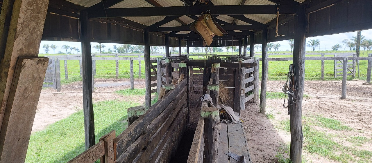 Imagem Fazenda à Venda, em Zona Rural - São Geraldo do Araguaia Imagem Fazenda à Venda, em Zona Rural - São Geraldo do Araguaia