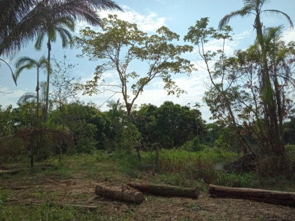 Imagem Terreno à Venda, 2.000 m² em Zona Rural - Humaitá Imagem Terreno à Venda, 2.000 m² em Zona Rural - Humaitá