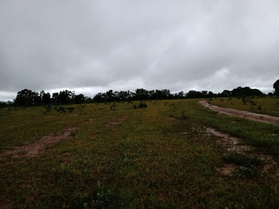 Imagem Fazenda à Venda, 4.870 HA em morumbi - campo grande Imagem Fazenda à Venda, 4.870 HA em morumbi - campo grande